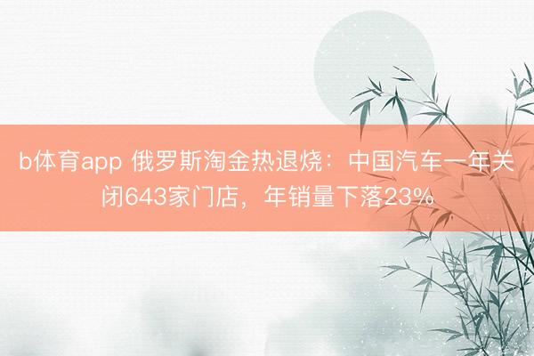 b体育app 俄罗斯淘金热退烧：中国汽车一年关闭643家门店，年销量下落23%