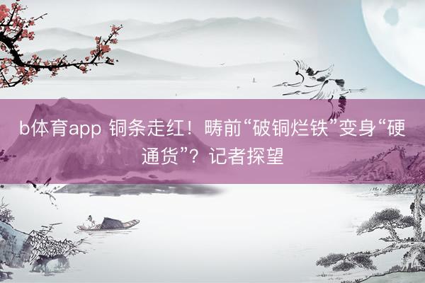 b体育app 铜条走红！畴前“破铜烂铁”变身“硬通货”？记者探望