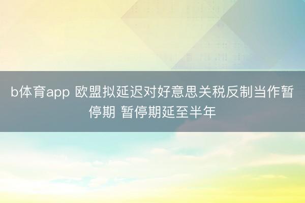 b体育app 欧盟拟延迟对好意思关税反制当作暂停期 暂停期延至半年