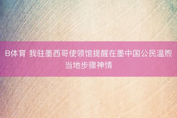 B体育 我驻墨西哥使领馆提醒在墨中国公民温煦当地步骤神情