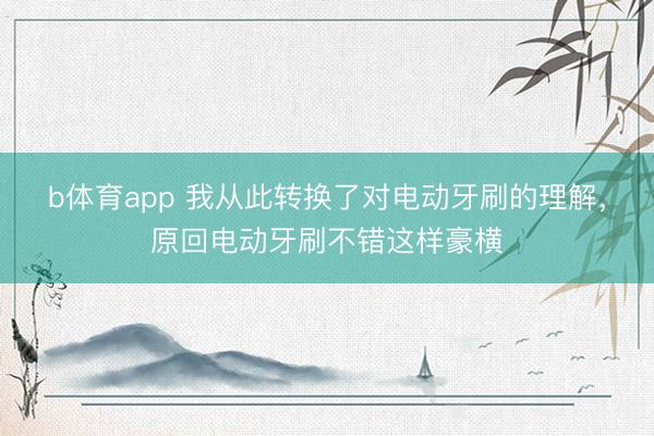 b体育app 我从此转换了对电动牙刷的理解,原回电动牙刷不错这样豪横