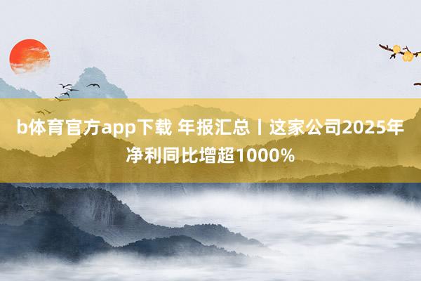 b体育官方app下载 年报汇总丨这家公司2025年净利同比增超1000%