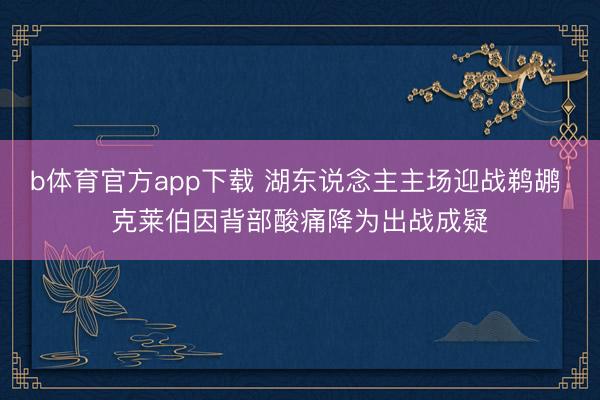 b体育官方app下载 湖东说念主主场迎战鹈鹕 克莱伯因背部酸痛降为出战成疑