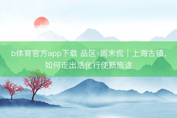 b体育官方app下载 品区·周末侃｜上海古镇，如何走出活化行使新旅途