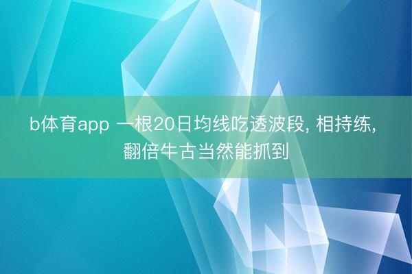 b体育app 一根20日均线吃透波段， 相持练， 翻倍牛古当然能抓到