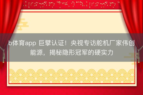b体育app 巨擘认证！央视专访舵机厂家伟创能源，揭秘隐形冠军的硬实力