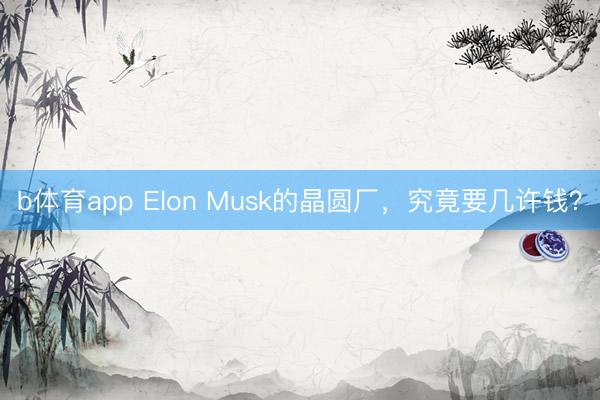 b体育app Elon Musk的晶圆厂，究竟要几许钱？