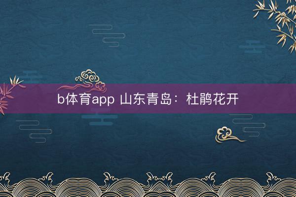 b体育app 山东青岛：杜鹃花开