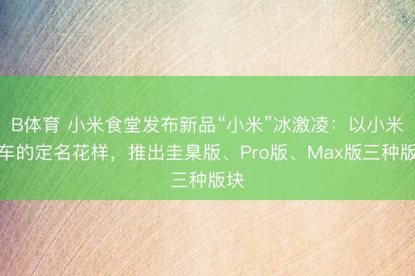 B体育 小米食堂发布新品“小米”冰激凌:以小米汽车的定名花样,推出圭臬版、Pro版、Max版三种版块