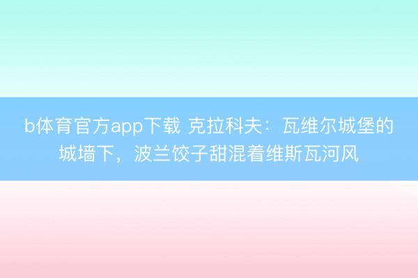 b体育官方app下载 克拉科夫：瓦维尔城堡的城墙下，波兰饺子甜混着维斯瓦河风