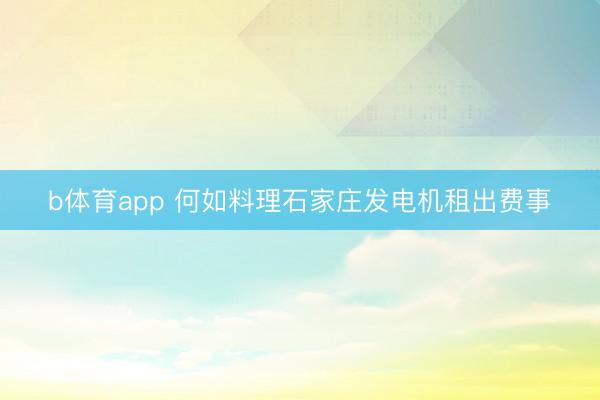 b体育app 何如料理石家庄发电机租出费事
