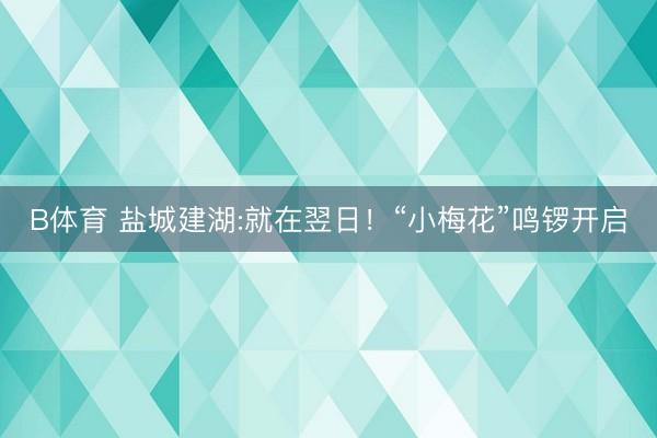 B体育 盐城建湖:就在翌日！“小梅花”鸣锣开启