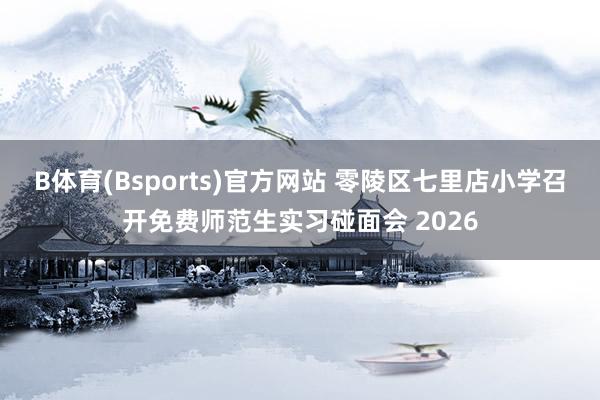 B体育(Bsports)官方网站 零陵区七里店小学召开免费师范生实习碰面会 2026