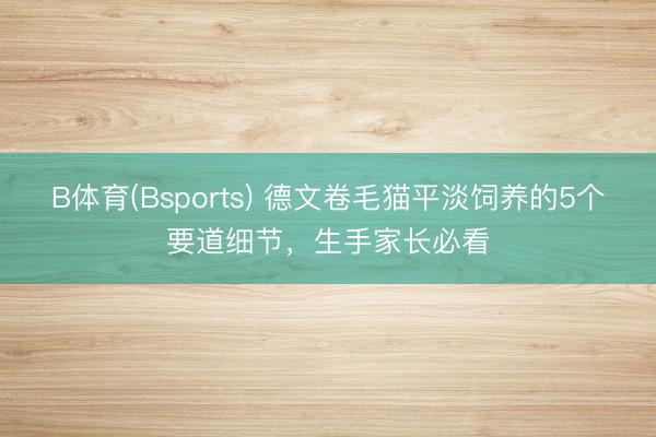 B体育(Bsports) 德文卷毛猫平淡饲养的5个要道细节，生手家长必看