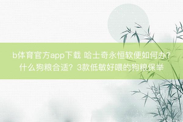 b体育官方app下载 哈士奇永恒软便如何办？什么狗粮合适？3款低敏好喂的狗粮保举