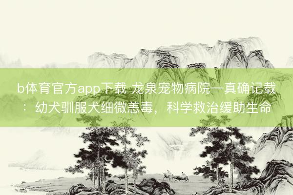 b体育官方app下载 龙泉宠物病院—真确记载：幼犬驯服犬细微恙毒，科学救治缓助生命