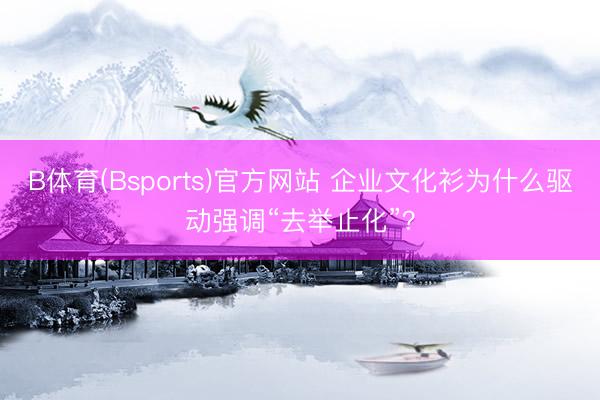 B体育(Bsports)官方网站 企业文化衫为什么驱动强调“去举止化”？