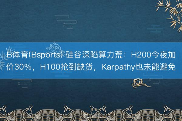 B体育(Bsports) 硅谷深陷算力荒：H200今夜加价30%，H100抢到缺货，Karpathy也未能避免