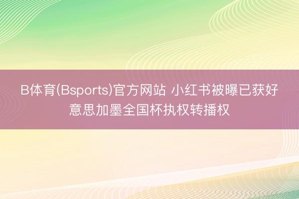 B体育(Bsports)官方网站 小红书被曝已获好意思加墨全国杯执权转播权