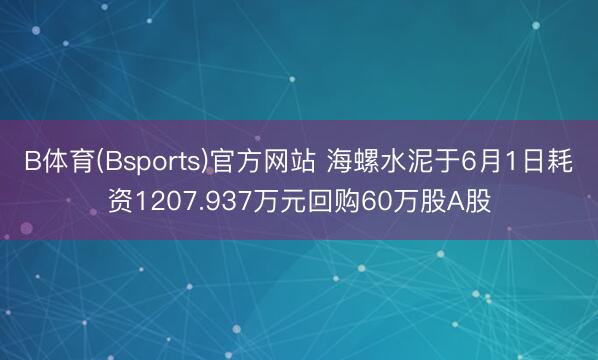 B体育(Bsports)官方网站 海螺水泥于6月1日耗资1207.937万元回购60万股A股