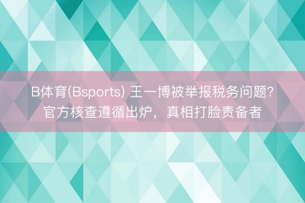 B体育(Bsports) 王一博被举报税务问题？官方核查遵循出炉，真相打脸责备者