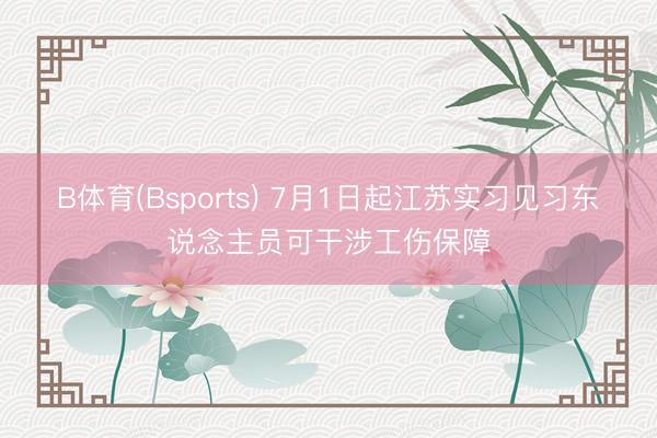 B体育(Bsports) 7月1日起江苏实习见习东说念主员可干涉工伤保障