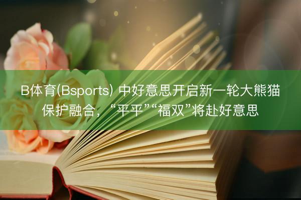 B体育(Bsports) 中好意思开启新一轮大熊猫保护融合，“平平”“福双”将赴好意思