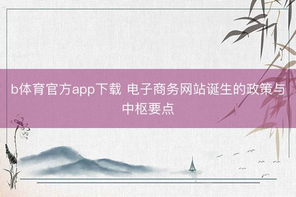 b体育官方app下载 电子商务网站诞生的政策与中枢要点